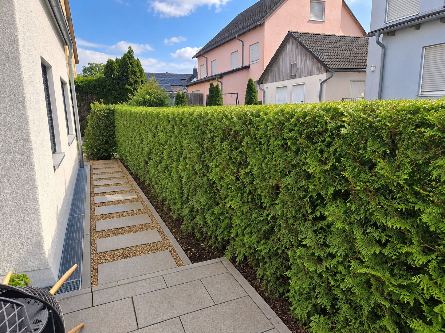Frisch geschnittene Thujahecke mit gerader Oberkante entlang eines Plattenwegs